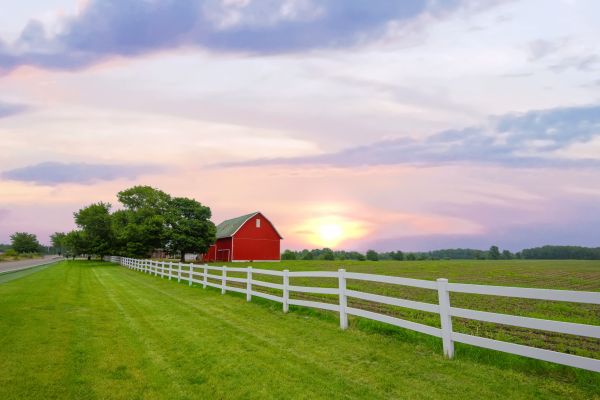 Farm Fencing Installation