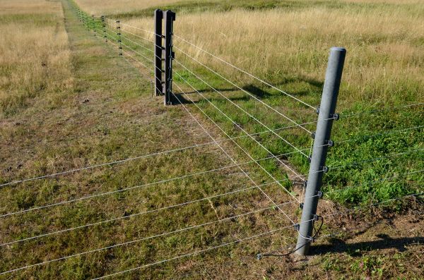 T Post Fence Installation