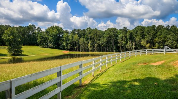 Pasture Fencing