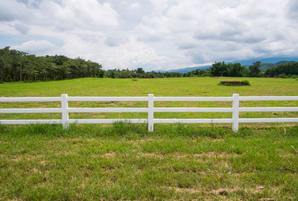 Pasture Fence Maintenance
