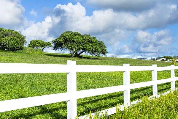 Ranch Fencing Installation
