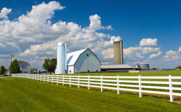 Farm Enclosure Repair