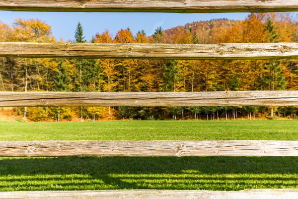 Field Fencing