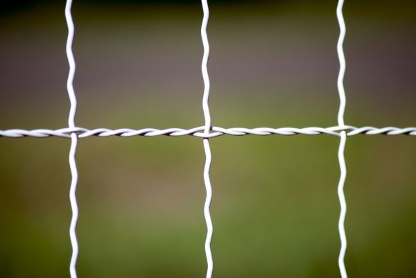 Woven Wire Fence Repair Service