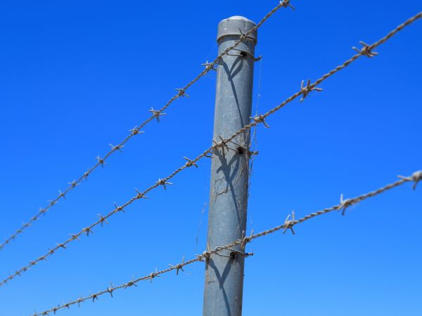 Wire Fence Replacement