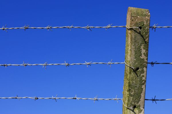 Barbed Wire Fence Replacement Service