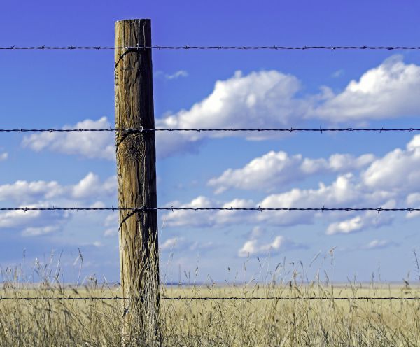 Agricultural Fence Replacement