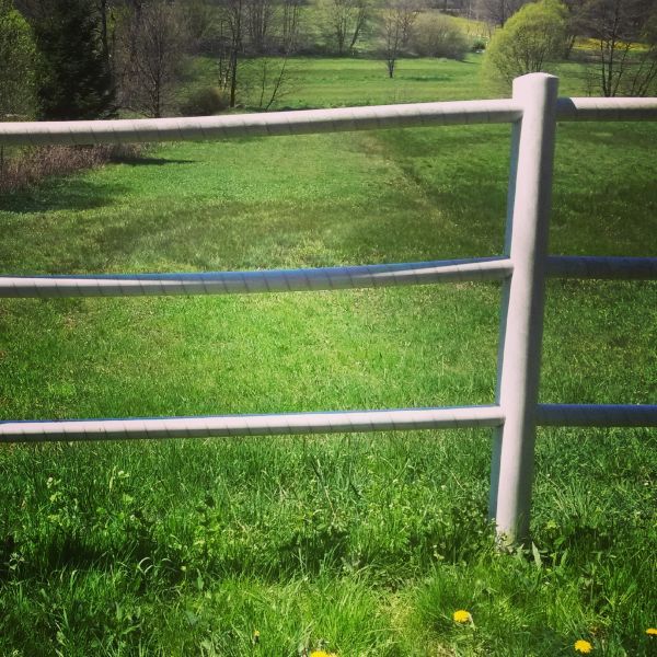 Cattle Fence Replacement Service