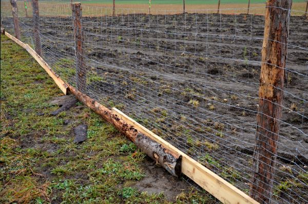 Deer Fencing Repair