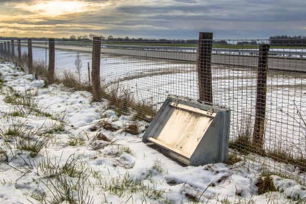 Wildlife Fence Repair Service