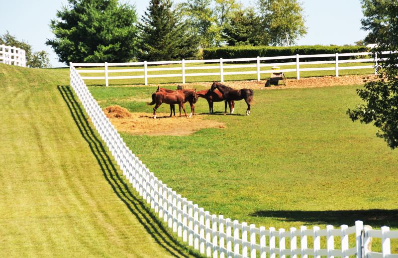Equestrian Fence Installation