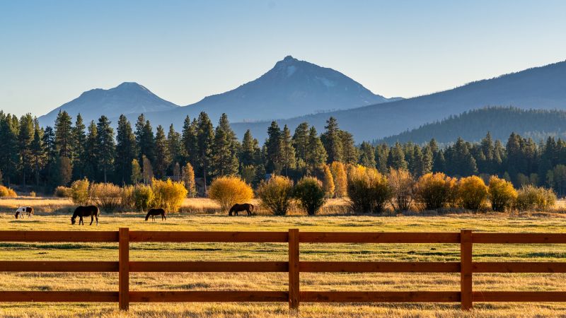 Best Wood Fence Replacement Contractors in Pocatello, ID