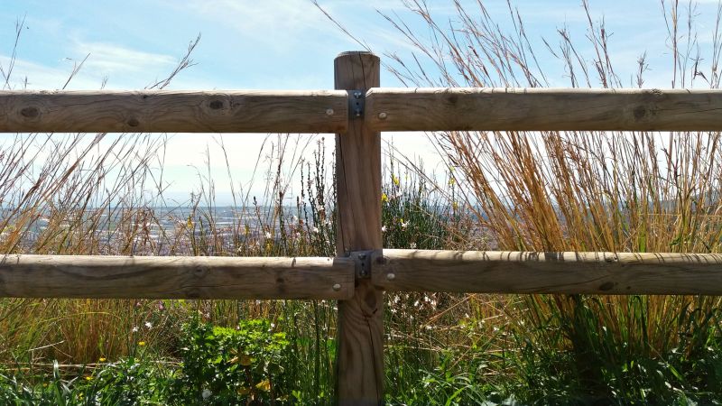 Timber Fence Installation